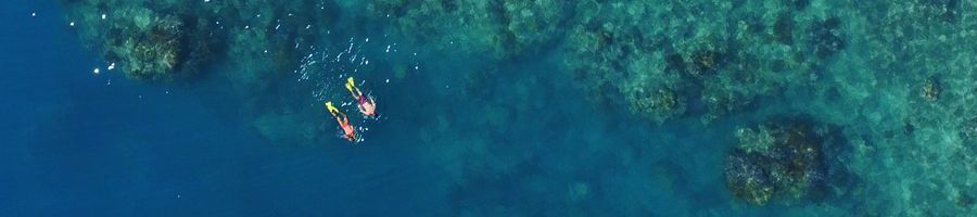 Snorkelling Reef Shot Snorkelling couple on the Great Barrier Reef