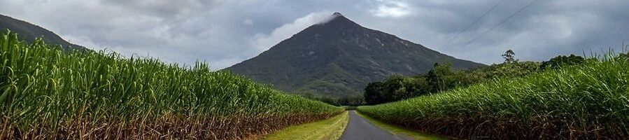 The road from Cairns city to the rainforest