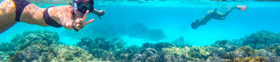 travelers snorkelling in the great barrier reef