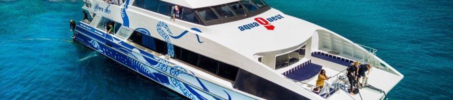 aquaquest divers den vessel on the reef