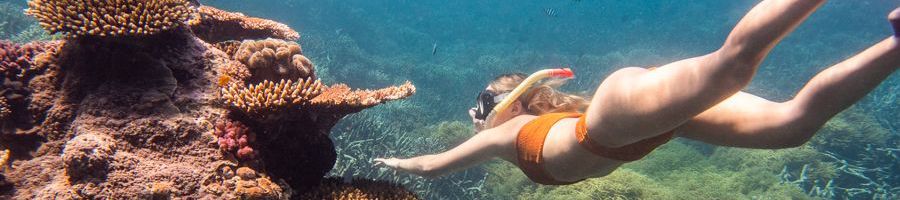 girl snorkelling alongside corals in the great barrier reef