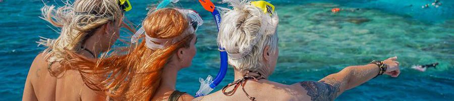 three snorkellers looking out at the great barrier reef