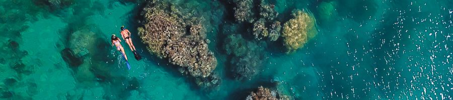 Snorkelling in the Whitsundays, coral sea