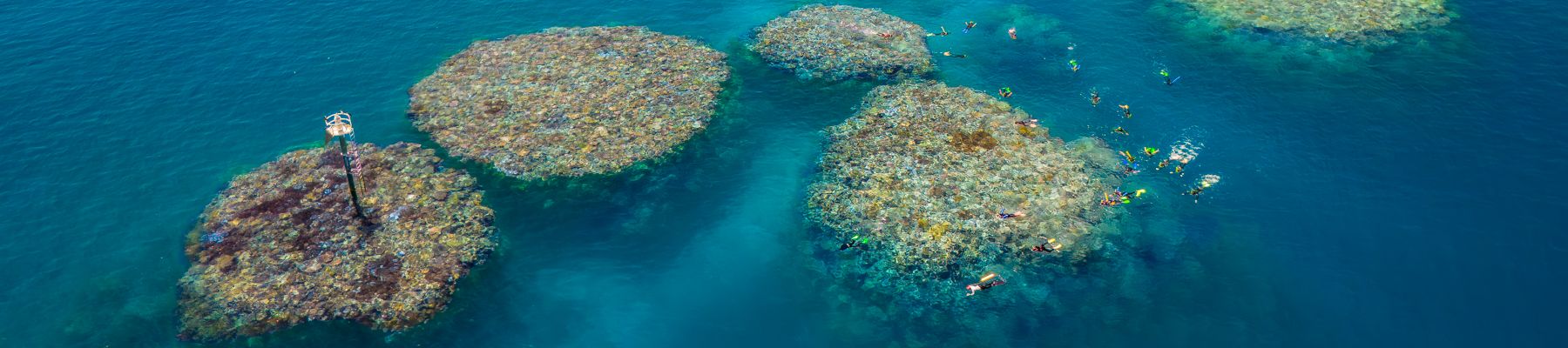 a drone shot of coral on the great barrier reef