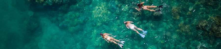 Snorkeling Snorkeling