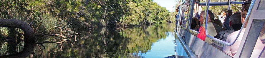 Everglade cruise with people on the boat