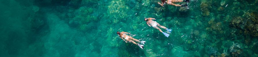 A group of snorkellers in coral reefs 