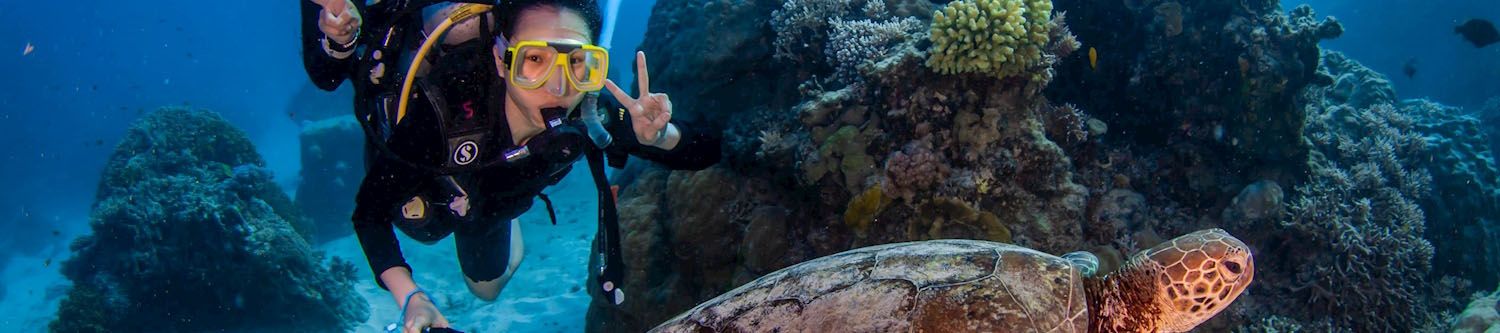 Divers posing with turtle amid coral garden