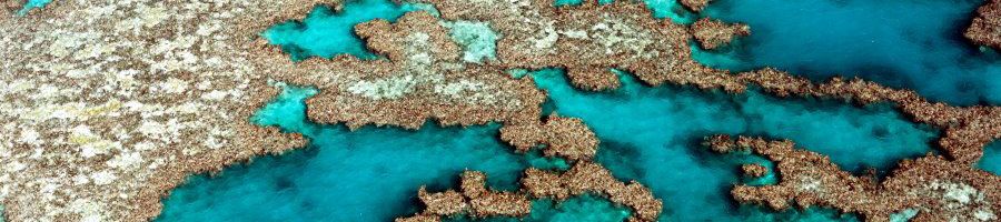 Diving, Reef Encounter Liveaboard Tour, Cairns Tours Diving, Reef Encounter Liveaboard Tour, Cairns Tours