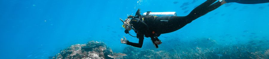 Woman scuba diving on Great Barrier Reef