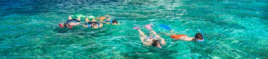 Snorkel safari on Great Barrier Reef