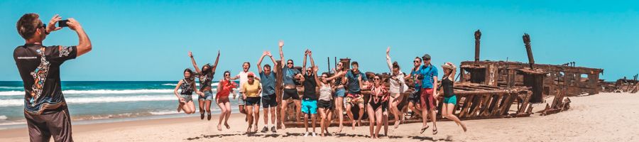 drop bear, maheno shipwreck drop bear, maheno shipwreck