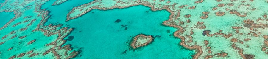 Scenic Flight Whitsundays aerial view of Heart Reef and surrounding corals