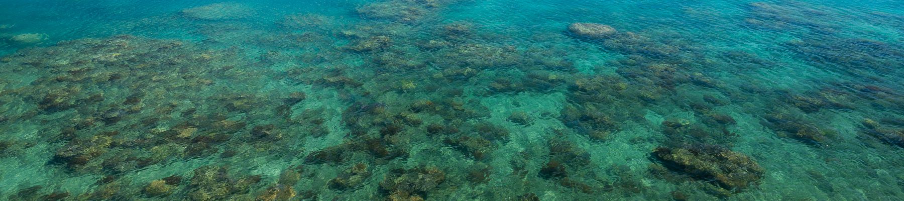 Great Barrier Reef a drone shot of the great barrier reef