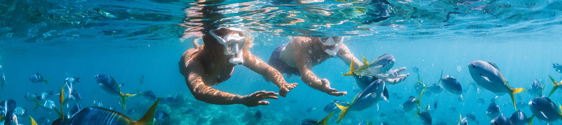 Reef Adventures Cairns a man and woman underwater snorkelling amongst fish