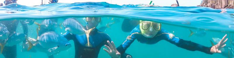 Solway Lass Solway Lass