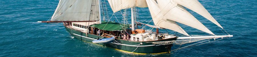 Solway Lass Solway Lass