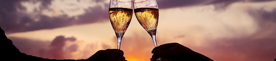 Sunset Cruise wine glasses clinking at sunset