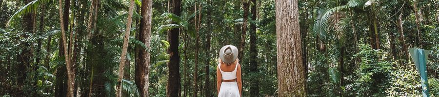 Central Station bush, Fraser Island