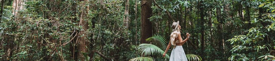 Central Station, Fraser Island
