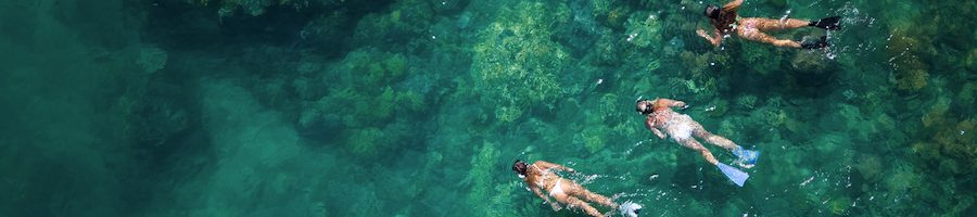 A drone shot of three people snorkelling on a coral reef