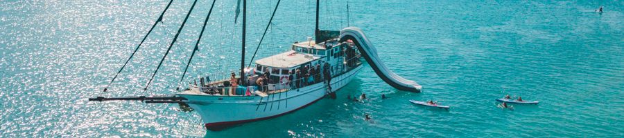 New Horizon New Horizon