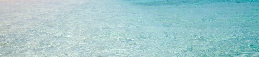 Reef Encounter Liveaboard Tour, Cairns Tours Reef Encounter Liveaboard Tour, Cairns Tours