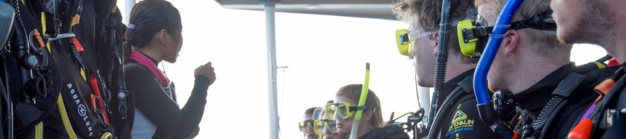 Diving, Reef Encounter Liveaboard Tour, Cairns Tours Diving, Reef Encounter Liveaboard Tour, Cairns Tours