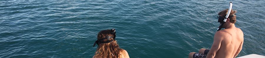 couple snorkelling off the back of MV alfie