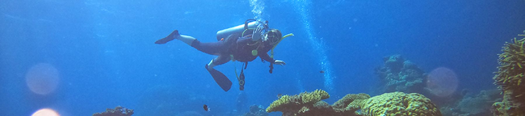 Scuba Diving Great Barrier Reef Underwater shot of a scubadiver exploring abundant coral