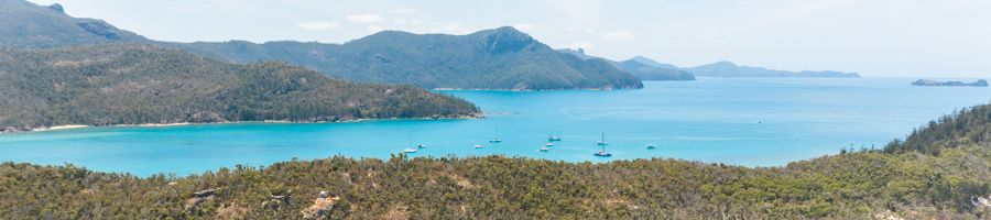 Wildcat A backdrop of mountains with bright blue water