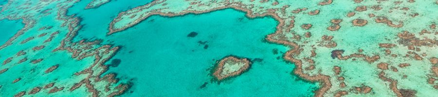 A beautiful shot from above over the Great Barrier Reef A beautiful shot from above over the Great Barrier Reef