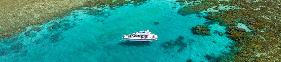 Axopar 37 on the water Axopar 37 in the water, Whitsunday reef