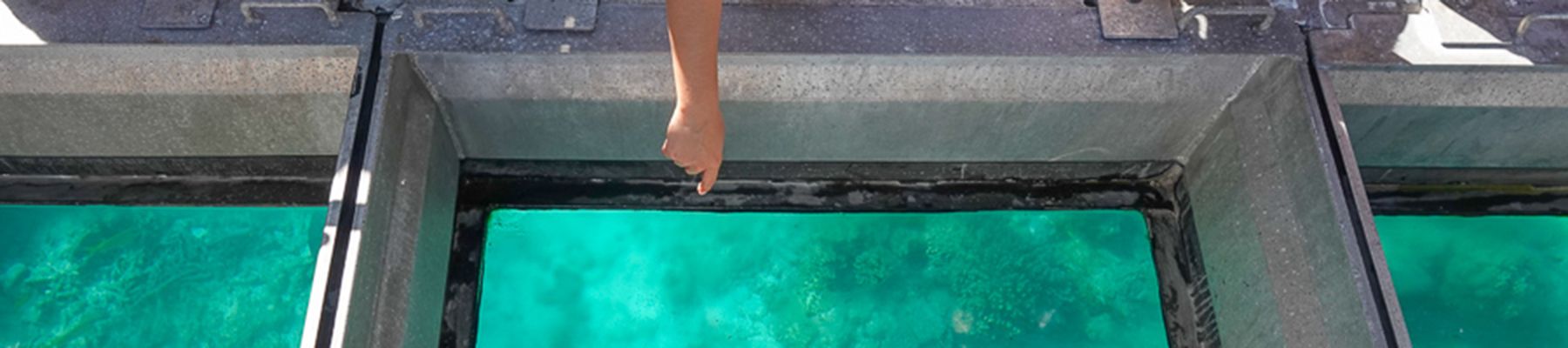 Glass bottom boat tour blue glass with woman pointing