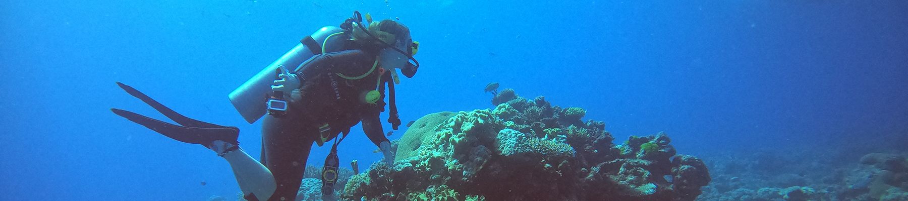 Scuba Diver in the Great Barrier Reef