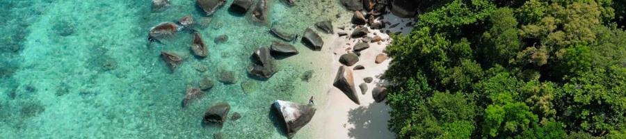 Fitzroy Island Birds Eye View Reef and Rainforest Fitzroy Island Aerial View Beach and Rainforest