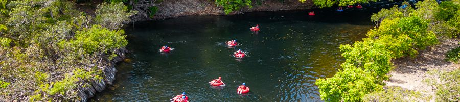 River rapids location with trees and people in the water