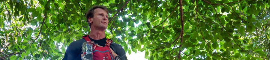 Your local guide in the forest