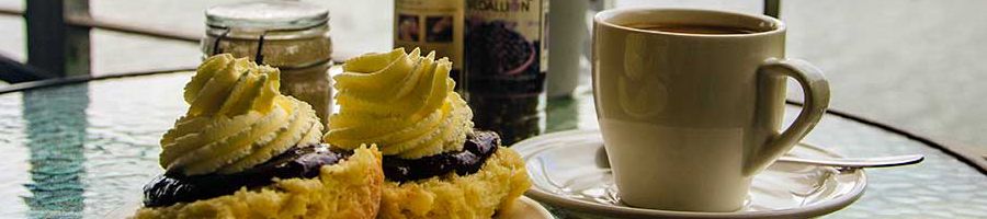 Scones and coffee at the Lake Barrine teahouse