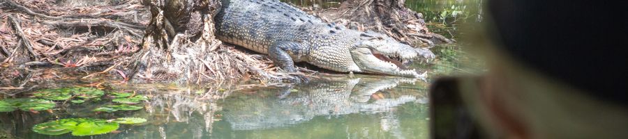 People aboard a cruise boat down the river with crocodile