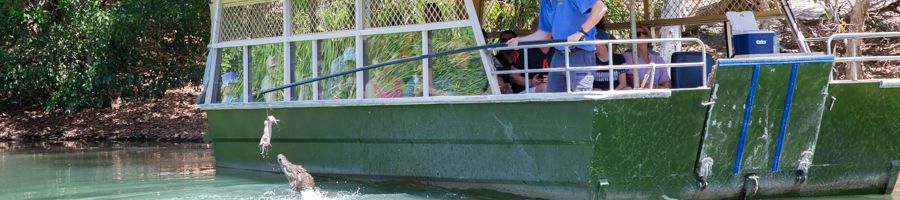 People aboard a cruise boat down the river with crocodile