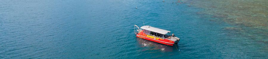 Thundercat Thundercat arial drone shot