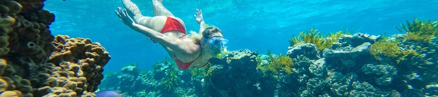 Woman swimming through the blue water looking at coral