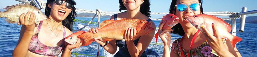 Three women holding up reef fish on a Whitsundays fishing charter