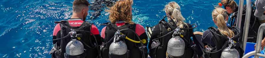 group going scuba diving