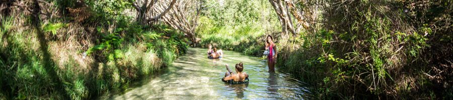 Eli Creek swimming, K'gari (Fraser Island) Three people floating down Eli Creek on pool floats