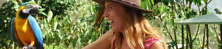 Girl with rainbow parrot on arm