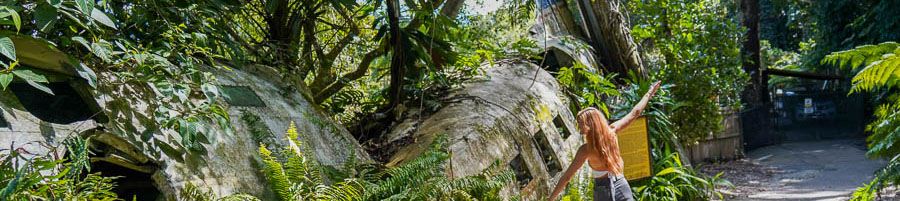Girl spinning in Barron Gorge National Park rainforest