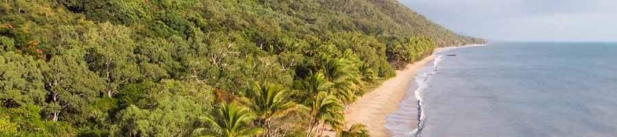 aerial view of rainforest