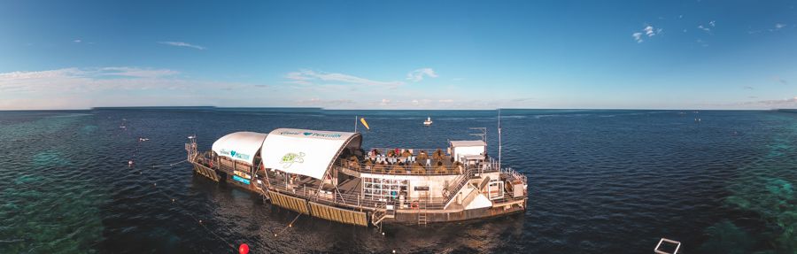 Reefsleep Pontoon reefworld pontoon